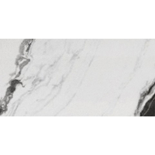 Picture of Eleganza Tiles - Panda 12 x 24 Wave Polished