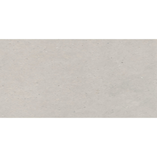 Picture of Eleganza Tiles - Silver Grain 24 x 48 Grey Matte