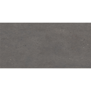 Picture of Eleganza Tiles - Silver Grain 24 x 48 Dark Anti-Slip