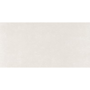 Picture of Eleganza Tiles - Start 24 x 48 Light Semi-Polished