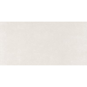 Picture of Eleganza Tiles - Start 24 x 48 Light Matte