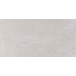 Picture of Eleganza Tiles - Start 24 x 48 Silver Matte