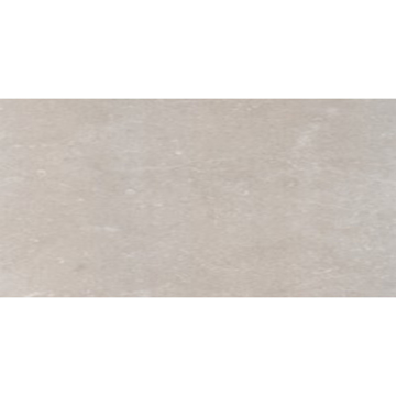 Picture of Eleganza Tiles - Start 24 x 48 Topo Matte