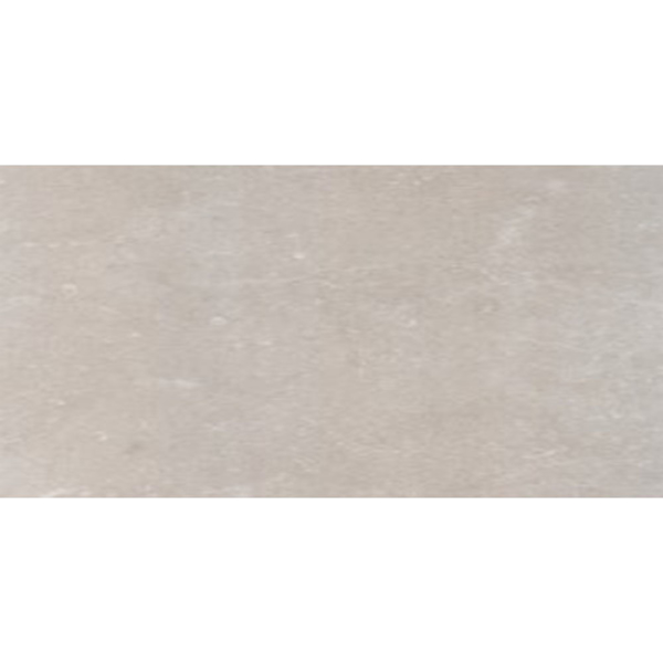 Picture of Eleganza Tiles - Start 24 x 48 Topo Matte