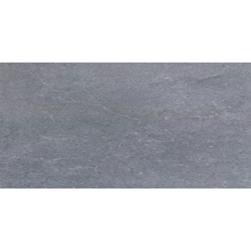 Picture of Eleganza Tiles - Start 24 x 48 Argent Matte