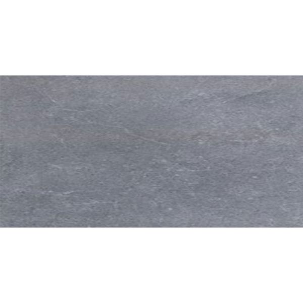 Picture of Eleganza Tiles - Start 24 x 48 Argent Matte