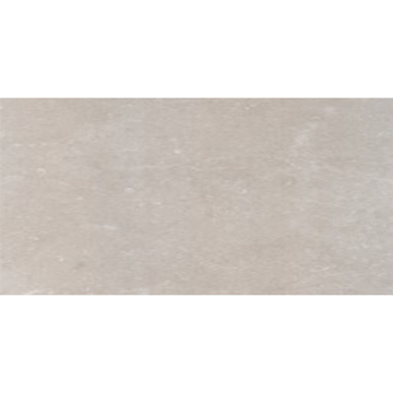 Picture of Eleganza Tiles - Start 24 x 48 Topo Semi-Polished
