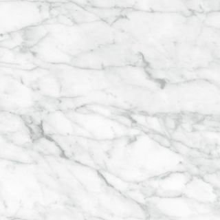 Picture of Anatolia Tile & Stone - Plata 24 x 24 Carrara Abisso Polished