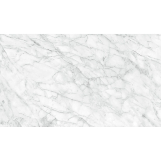 Picture of Anatolia Tile & Stone - Plata 24 x 48 Carrara Abisso Matte