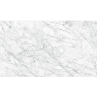 Picture of Anatolia Tile & Stone - Plata 24 x 48 Carrara Abisso Polished