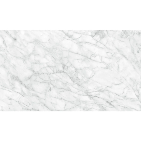Picture of Anatolia Tile & Stone - Plata 24 x 48 Carrara Abisso Polished