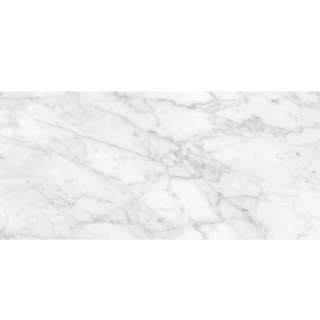 Picture of Anatolia Tile & Stone - Plata 12 x 24 Carrara Abisso Matte