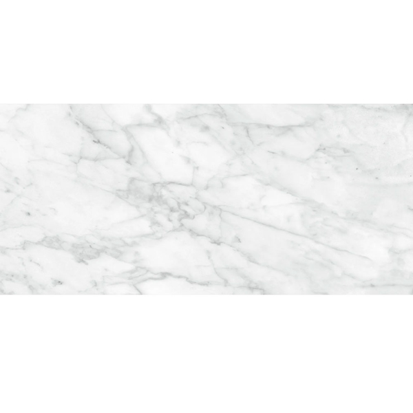 Picture of Anatolia Tile & Stone - Plata 12 x 24 Carrara Abisso Polished