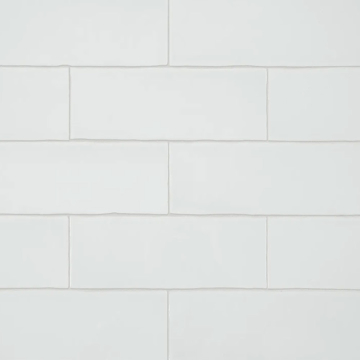 Picture of Anatolia Tile & Stone - Teramoda 3 x 12 Powder