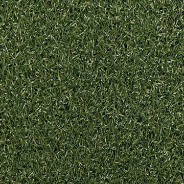 Picture of Centaur-Drive Turf Green