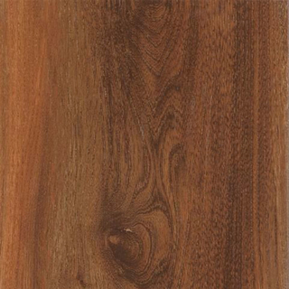 Picture of Shaw Floors - Quiet Cover Redwood