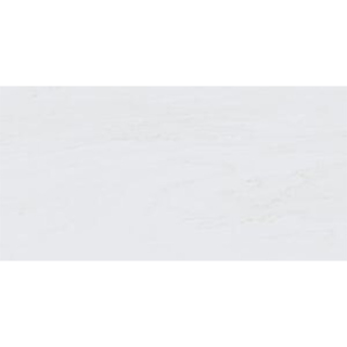 Picture of Tesoro-Adler 24 x 48 Dolomite White