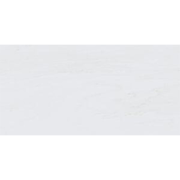 Picture of Tesoro - Adler 24 x 48 Dolomite White