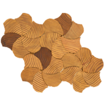 Picture of Tesoro - Forest Elements Pinwheel Geometrical
