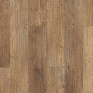 Picture of Shaw Floors - Paladin Plus Touch Pine