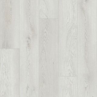 Picture of Shaw Floors - Paladin Plus Feather Grey