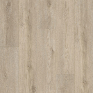 Picture of Shaw Floors - Paladin Plus Soft Beige