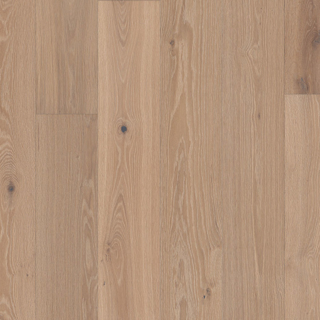 Picture of Shaw Floors - Elegance Oak Applique