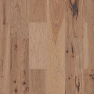 Picture of Shaw Floors - Impressions Hickory Luminous