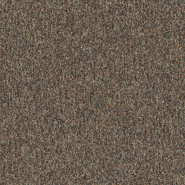 Picture of Patcraft - Homeroom V3 Textbook