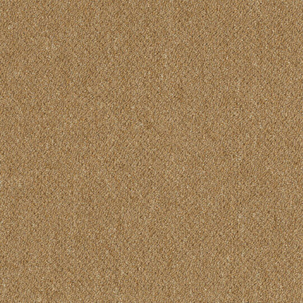 Picture of Patcraft - Scholastic II Curricula