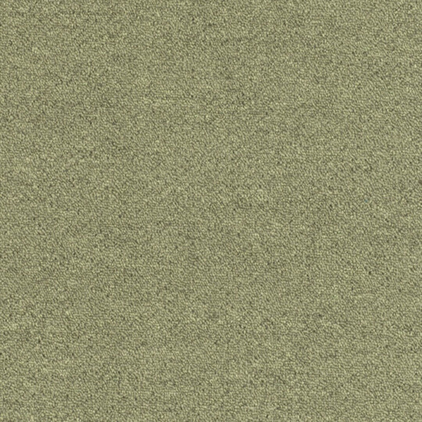 Picture of Patcraft - Scholastic II Financial Aid