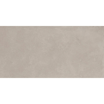 Picture of Emser Tile - Agio 24 x 47 Frassino