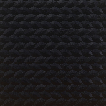 Picture of DuChateau - Celestio Legno Gem Wall Panels Noir