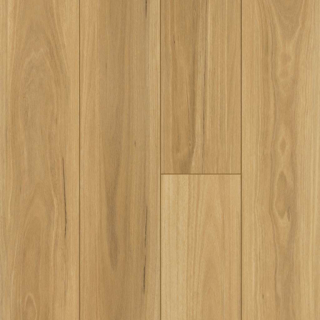 Picture of Shaw Floors - Prominence Plus Eucalyptus