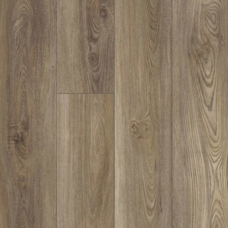 Picture of Shaw Floors - Prominence Plus Ash Oak