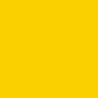 Picture of Armstrong - Premium Excelon Feature Strip 2 x 24 Yellow II