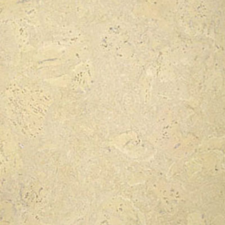 Picture of Globus Cork - Nugget Texture 12 x 18 Whitewashed