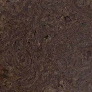 Picture of Globus Cork - Nugget Texture 24 x 24 Sable