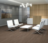 Picture of Philadelphia Commercial by Shaw - Bosk Tundra