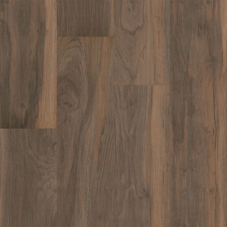 Picture of 5th and Main - Symbiotic 5.0 Terra