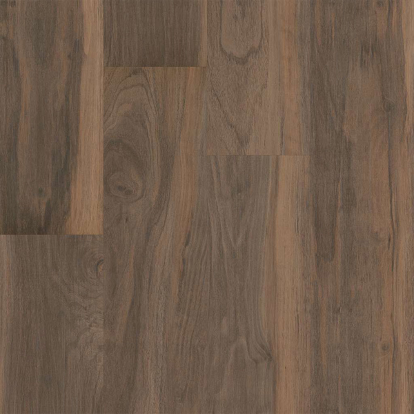 Picture of 5th and Main - Symbiotic 5.0 Terra