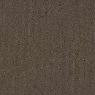 Picture of Philadelphia Commercial by Shaw - Color Accents 18 x 36 Bark