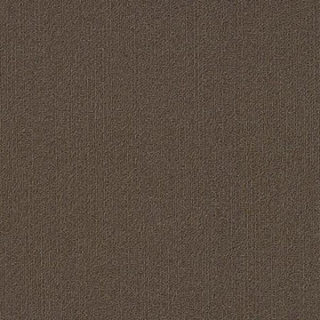Picture of Philadelphia Commercial by Shaw - Color Accents 18 x 36 Bark