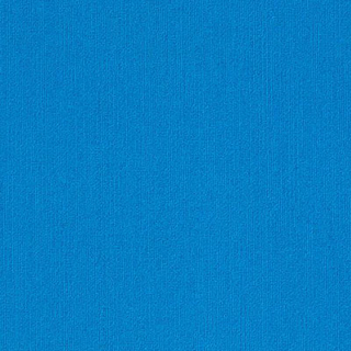 Picture of Philadelphia Commercial by Shaw - Color Accents 18 x 36 Blue