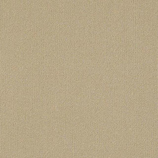Picture of Philadelphia Commercial by Shaw - Color Accents 18 x 36 Cashmere
