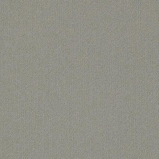 Picture of Philadelphia Commercial by Shaw - Color Accents 18 x 36 Cement