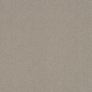 Picture of Philadelphia Commercial by Shaw - Color Accents 18 x 36 Mineralite