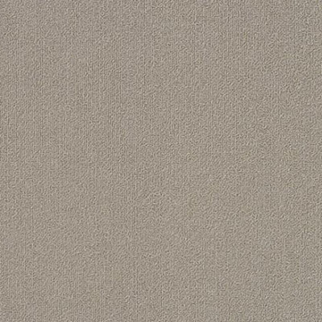 Picture of Philadelphia Commercial by Shaw - Color Accents 18 x 36 Mineralite