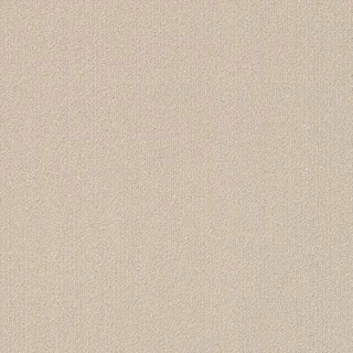 Picture of Philadelphia Commercial by Shaw - Color Accents 18 x 36 Oatmeal