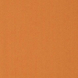Picture of Philadelphia Commercial by Shaw - Color Accents 18 x 36 Orange